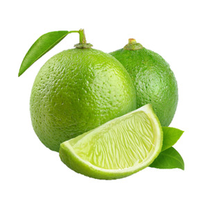Round Lemon - 4 pcs