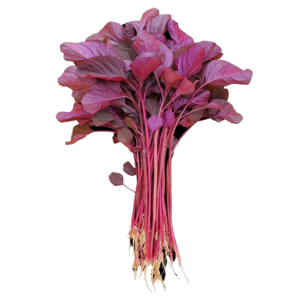 Red Spinach - 1 Bundle