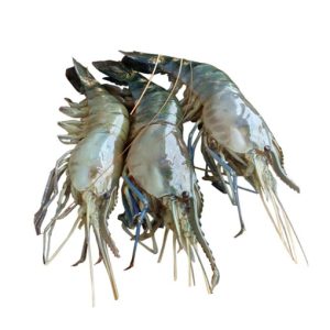 Golda Chingri (15-18 pcs/ kg) - 500 gm