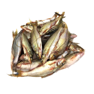 River Gulsha Fish ( 15-20 pcs ) - 1 kg